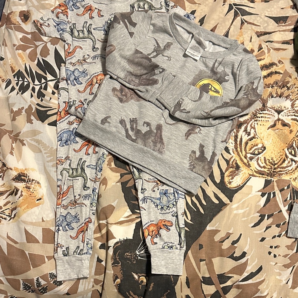 Gray Dinosaur Pajama Set & Jurassic World Sweatshirt